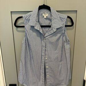 J.Crew Blue and White Striped Collar Shirt